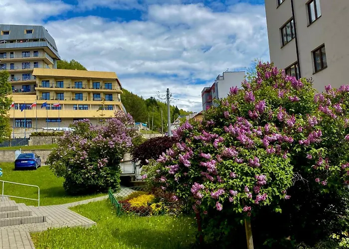 Cristal Apartament Krynica - Zdroj